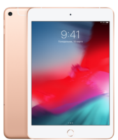 iPad mini 5 256GB Wi-Fi + Cellular Gold (MUXP2)