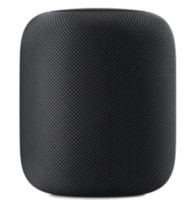 HomePod Space Gray (MQHW2)