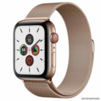 Apple Watch 5 (GPS + Cellular) 44mm Gold Stainless Steel Case with Gold Milanese Loop (MWW62)
